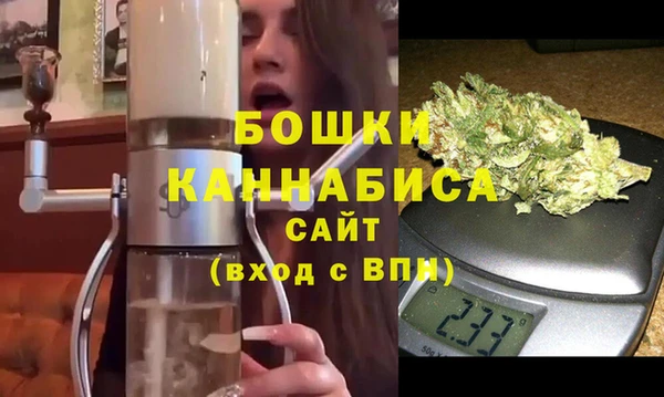молекула духа Гусев