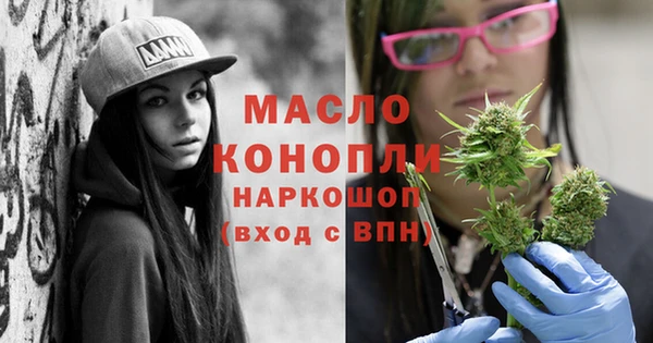 молекула духа Гусев
