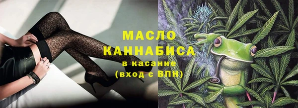 молекула духа Гусев