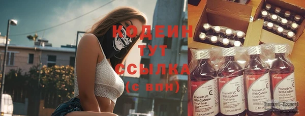 молекула духа Гусев