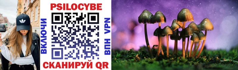 Псилоцибиновые грибы ЛСД  Купить где  Уяр 